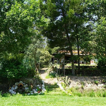 Villa Quinta Do Vale Grande à Albergaria-a-Velha Extérieur photo