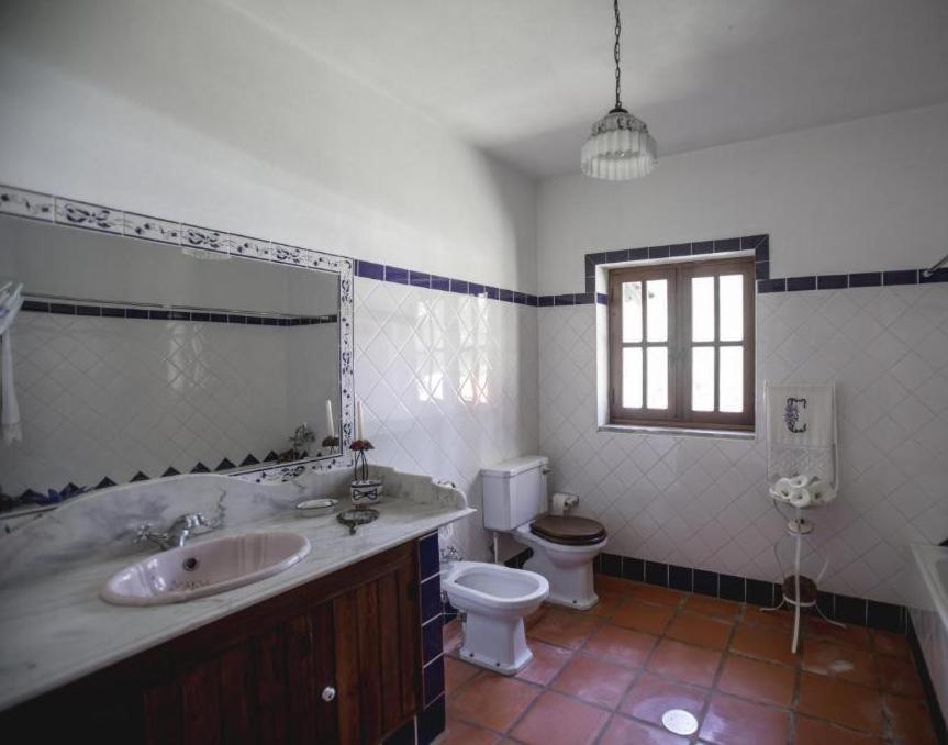 Villa Quinta Do Vale Grande à Albergaria-a-Velha Extérieur photo