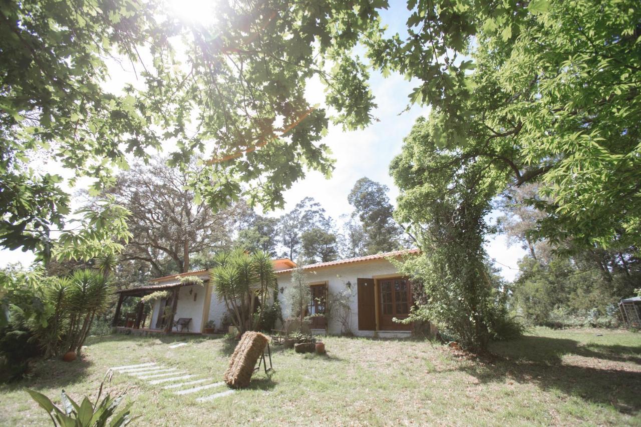 Villa Quinta Do Vale Grande à Albergaria-a-Velha Extérieur photo