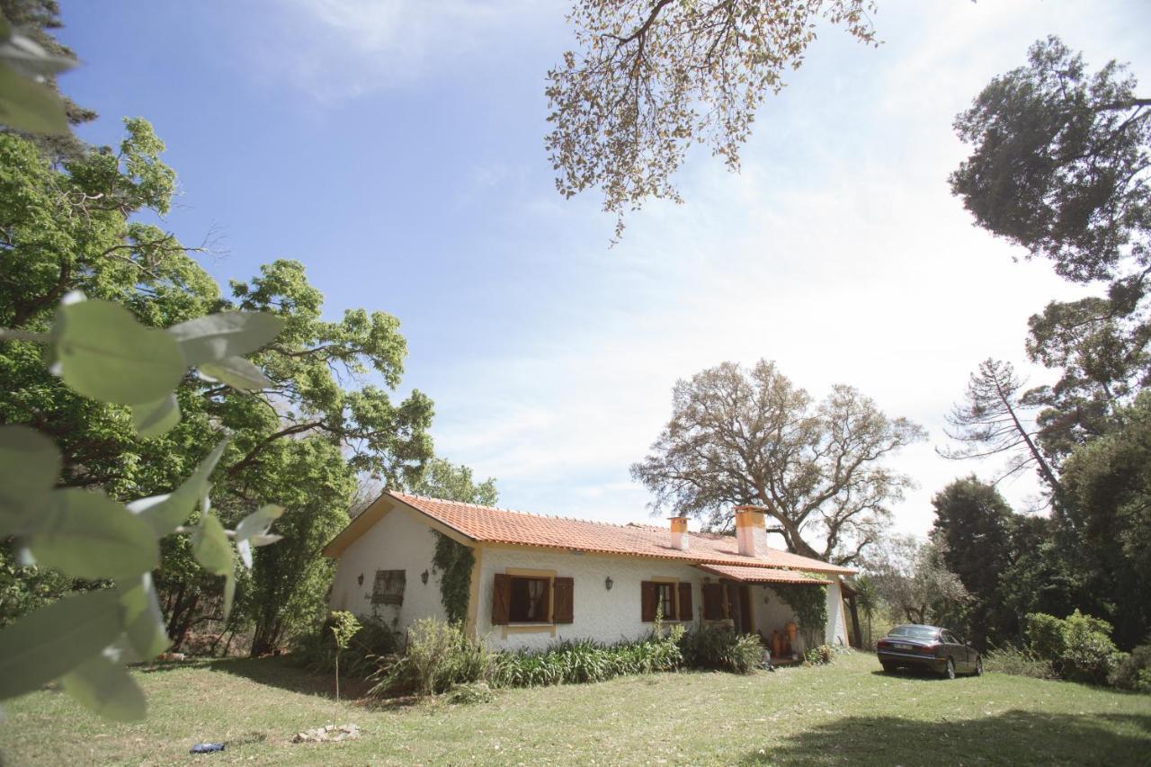 Villa Quinta Do Vale Grande à Albergaria-a-Velha Extérieur photo