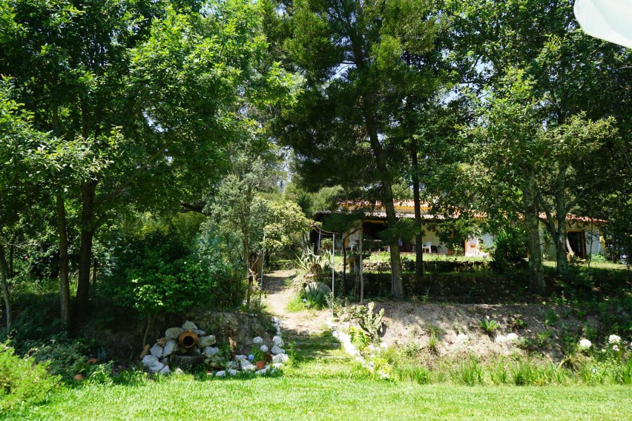 Villa Quinta Do Vale Grande à Albergaria-a-Velha Extérieur photo