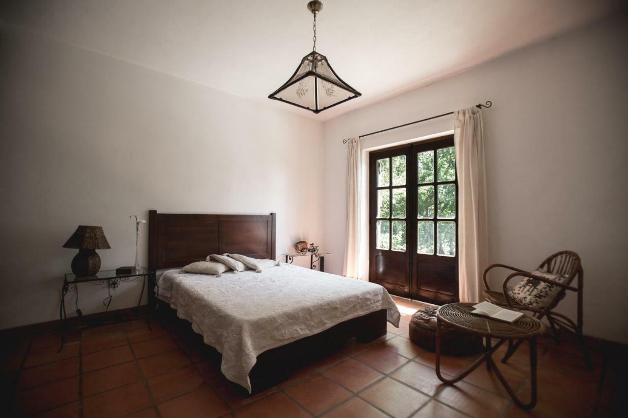 Villa Quinta Do Vale Grande à Albergaria-a-Velha Extérieur photo